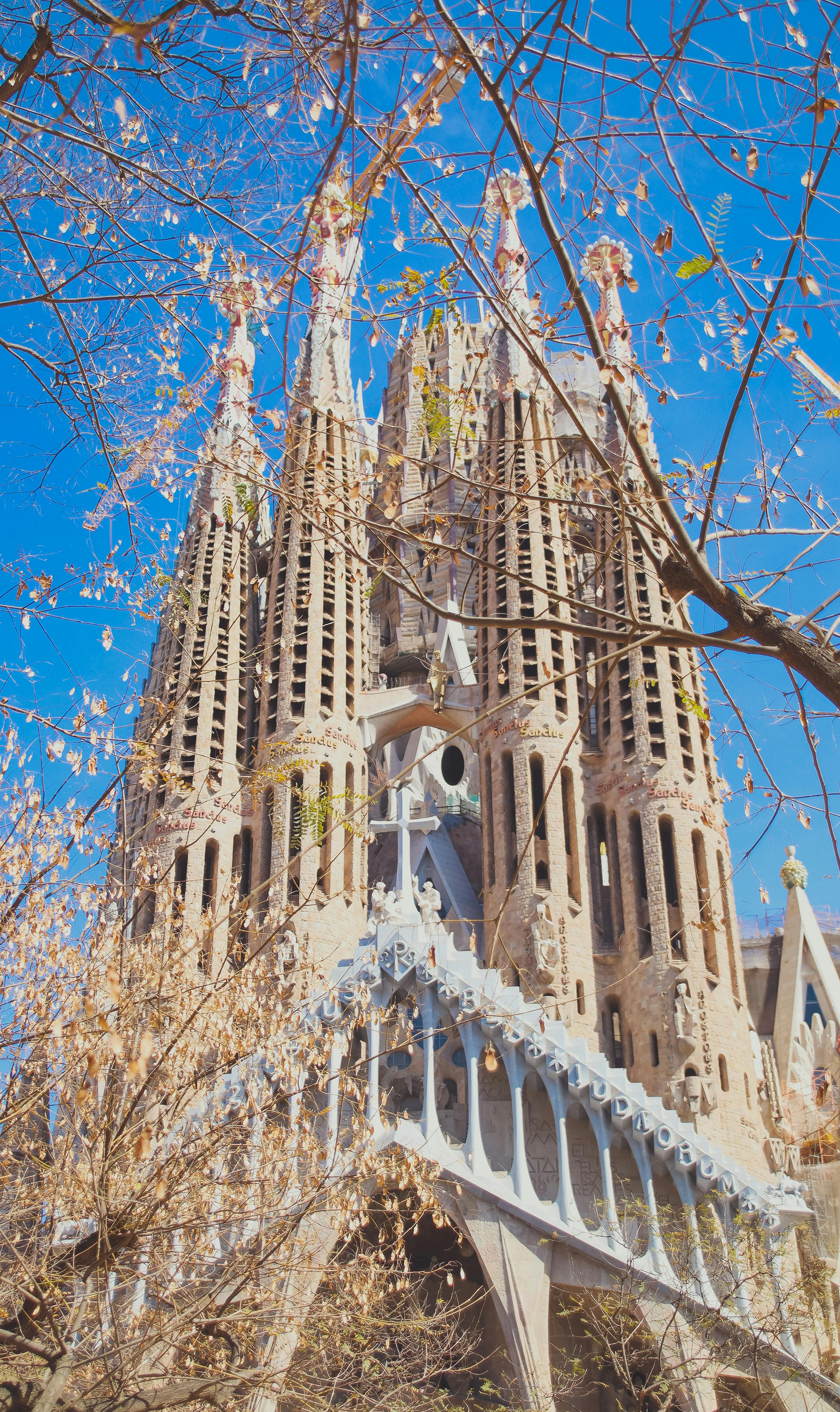 Sagrada Familia image