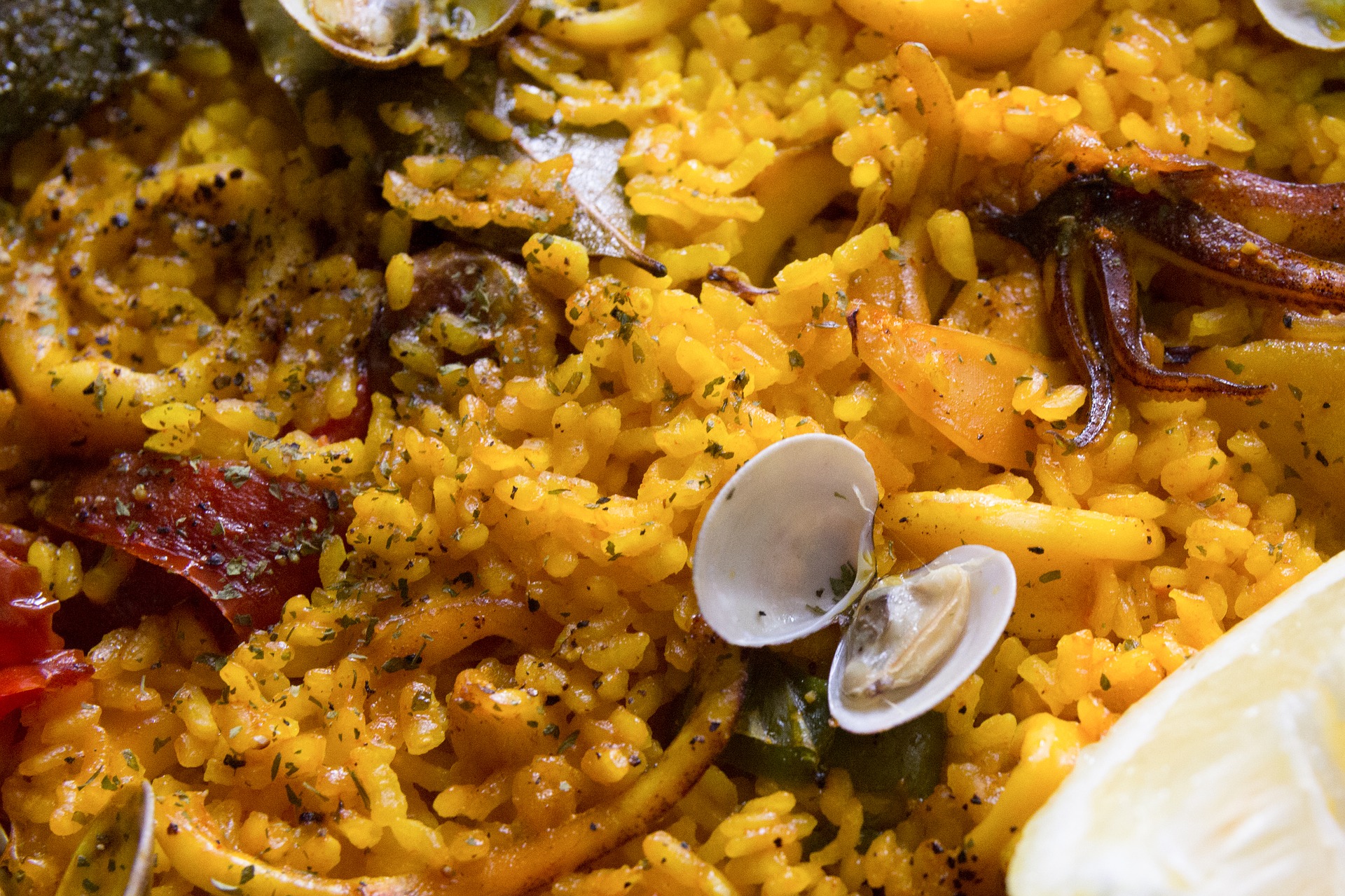 Paella Guide